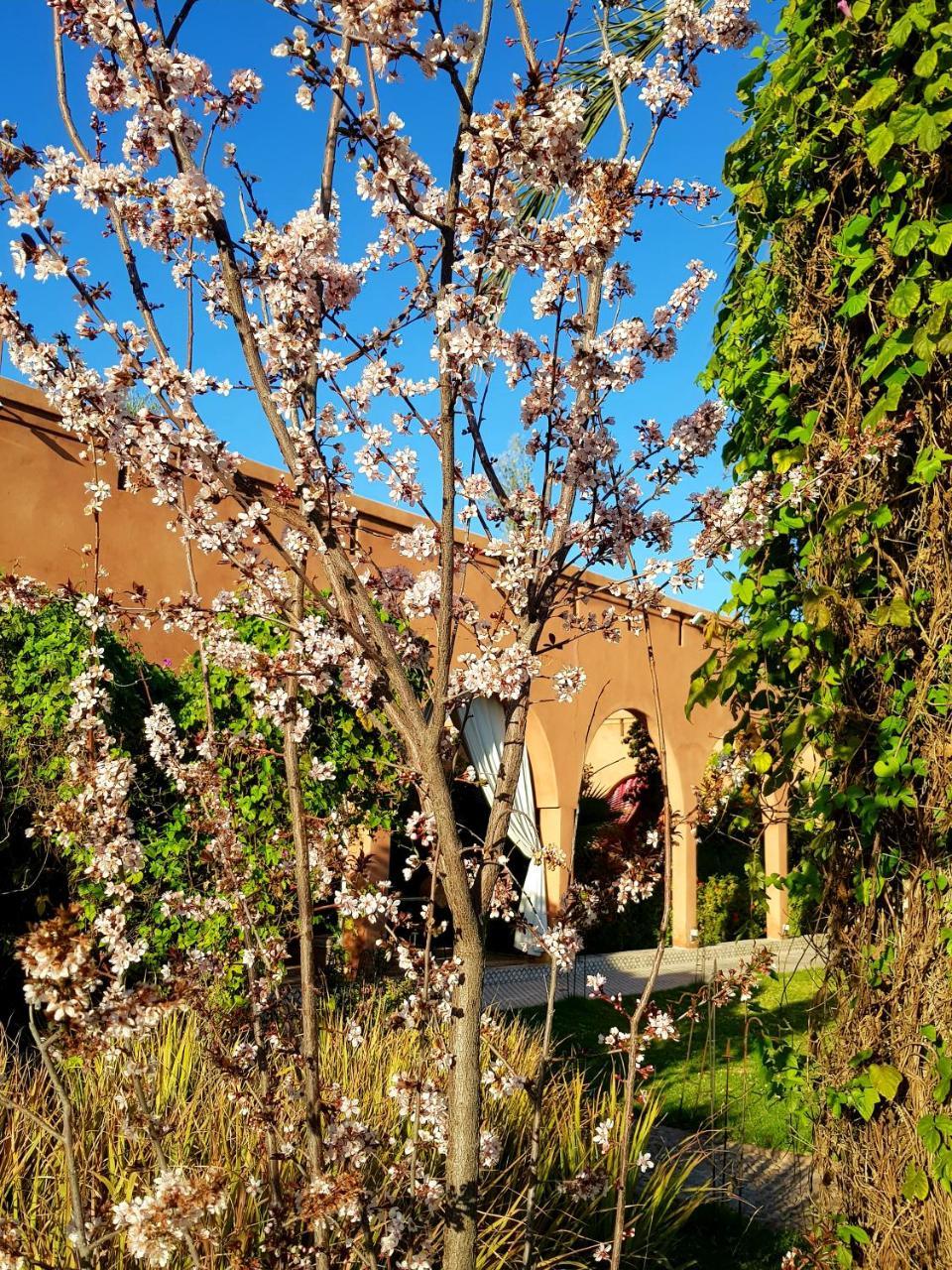 Ksar Salha Otel Douar Drâa Dış mekan fotoğraf