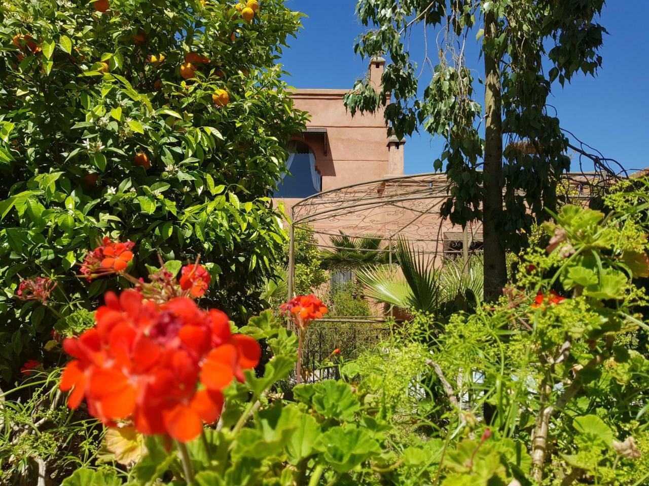 Ksar Salha Otel Douar Drâa Dış mekan fotoğraf